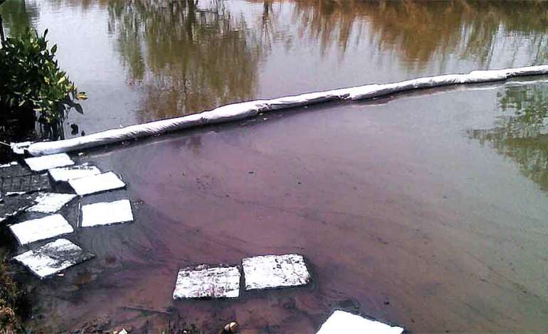 Oil Absorbent – Solusi Khusus untuk Mengatasi Tumpahan Minyak di Darat dan Laut